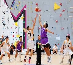 波克捕鱼达人游戏攻略新手技巧打法指南与窍门绝招一览